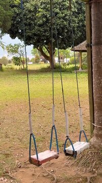 Two playground swings stand beneath leafy branches in peaceful park. Wooden seats shift softly on rope lines, highlighting practical outdoor play design beside grassy grounds, as seats move gently.