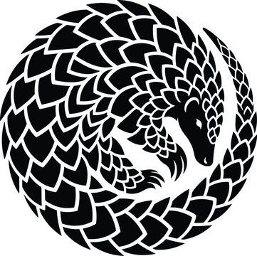 Black and white vector illustration of a curled pangolin