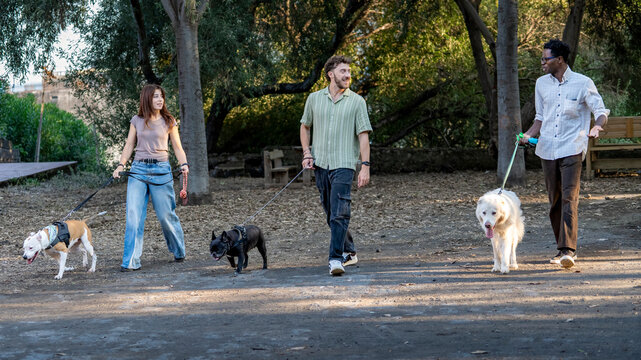 Three friends walking their dogs together in a park