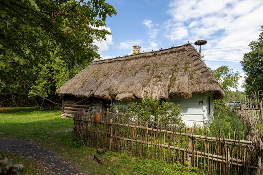 thatched roof house	