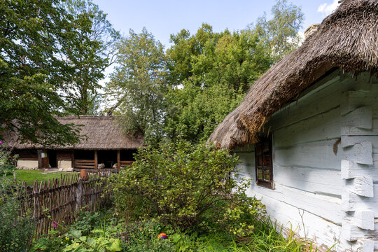 thatched roof house	
