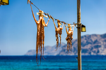 Fresh octopus hanging on line to dry in the summer sun, Mochlos village harbor with rugged coastal mountains and Aegean Sea beyond, Crete, Greece © whitcomberd