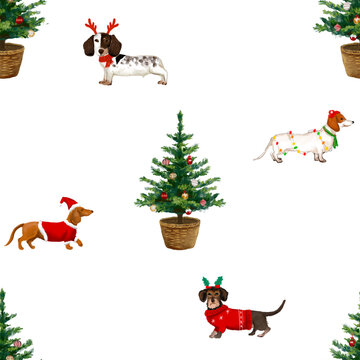 dachshund dogs seamless pattern dog wearing  event Christmas theme hand drawn illustration on transparent background.	