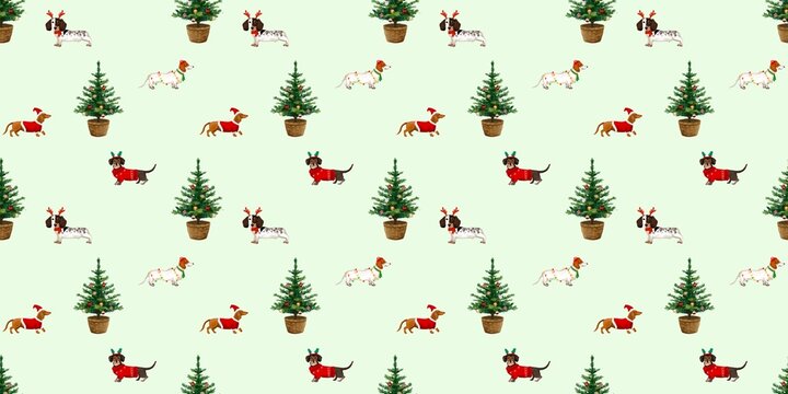 dachshund dogs seamless pattern dog wearing  event Christmas theme hand drawn illustration