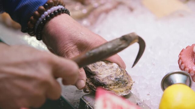 In slow motion, hands turn an oyster shell and work along its surface with a curved tool above crushed ice, with beaded bracelets on one wrist and an octopus tentacle beside the shell on the counter.