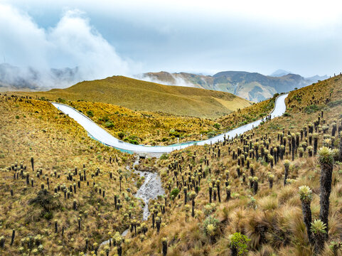 Aerial view of a winding road through the high-altitude paramo landscape of Nevado del Ruiz, with frailejones plants, a small stream, and misty mountains in Villamaria, Caldas, Colombia.