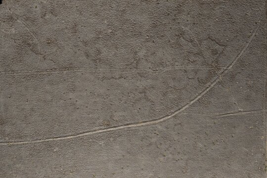 Aerial view of a textured, dry, earthy ground surface with faint paths in Niwot, Colorado, United States.