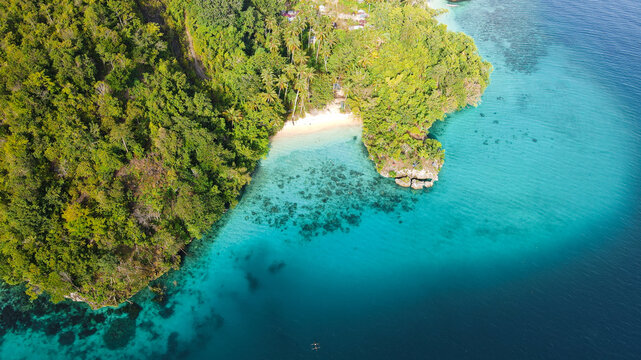 Aerial view of Raja Ampat featuring a secluded white sand beach nestled within lush tropical rainforest, surrounded by turquoise waters in Raja Ampat, Southwest Papua, Indonesia.