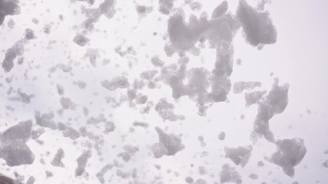 Snowflakes tumble, swirling gently in a cold, hushed air. Soft white particles drift, catching light in slow, delicate motion. Quiet, frozen world seems to breathe with each falling flake