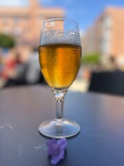 Golden beer served in a glass on an outdoor table in San Fernando, Cadiz, Spain, with a softly blurred background and a relaxed terrace atmosphere. © MaruStock