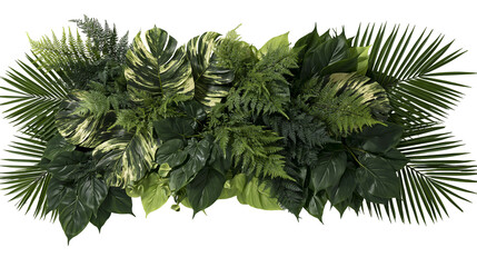 Isolated lush tropical foliage arrangement with variegated monstera, palm, and ferns. © Gabriel