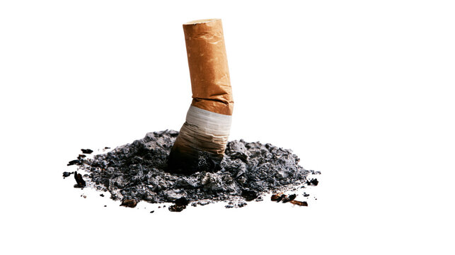 Isolated used cigarette filter standing upright in a pile of gray tobacco ash.
