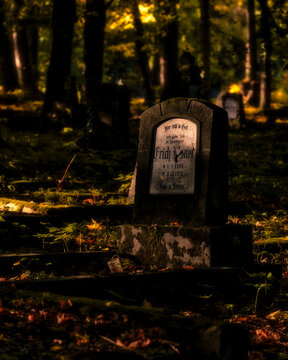 Historic stone headstone with ceramic photo plaque in a sun-dappled autumn cemetery. Atmospheric memorial surrounded by soft golden light and shadows.