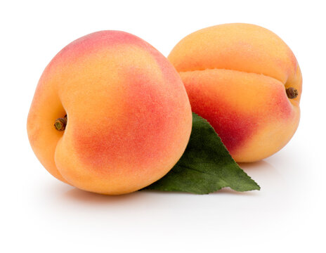 Two fresh ripe apricots with green leaf isolated on white background