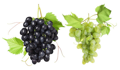 Fototapeta premium Grape clusters of different varieties against transparent background