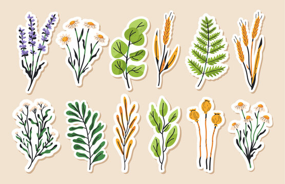 Botanical journal sticker elements floral scrapbooking journaling set with hand drawn wildflowers leaves herbs isolated on beige background