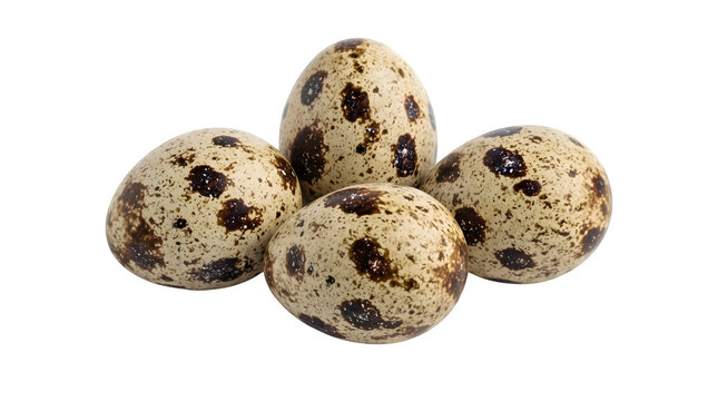 Four speckled quail eggs isolated on transparent background
