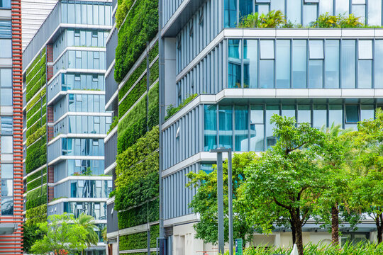 Modern glass buildings with green planted facades and vertical greenery in Shenzhen city, China. Green building design, sustainable architecture, living facade, ecological construction, urban nature