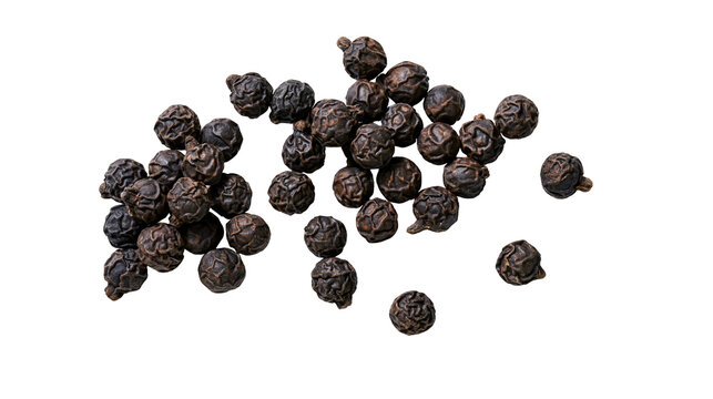 Isolated close up of organic black peppercorns, whole dried spice for cooking and seasoning