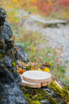 Wooden podium placed on a rock near a trail in a forest during autumn season