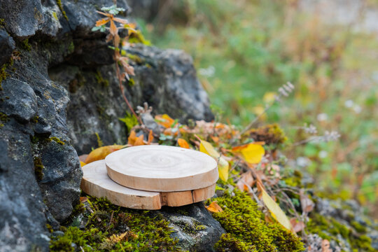 Wooden podium placed on a stone surface in a natural setting during autumn season
