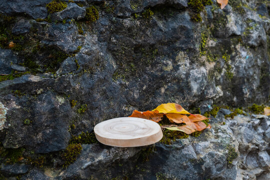 Wooden podium placed on rocky surface beside autumn leaves in natural setting