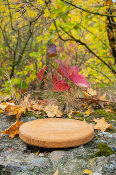 Wooden podium on a stone surface surrounded by autumn leaves in a forest