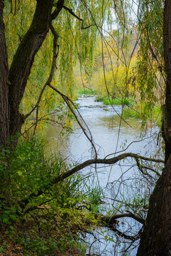 View of a winding river surrounded by trees and greenery in a natural setting during autumn