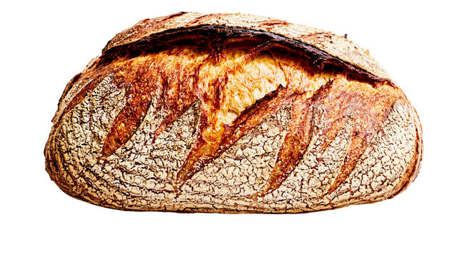 Isolated delicious rustic artisan sourdough bread loaf with a golden crunchy crust