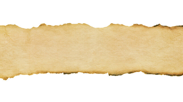 Isolated aged vintage parchment paper strip banner with burnt and torn rough edges