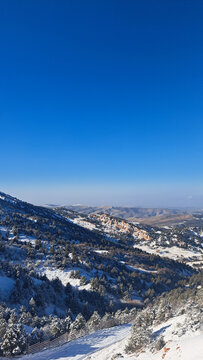 ​Scenic panoramic view of a snow-covered mountain slope covered with evergreen pine trees under a clear bright blue sky. Winter mountain landscape on a sunny day with deep shadows, crisp snow, and an 