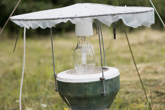 A homemade bug zapper with a light bulb and green basin is set up outdoors.