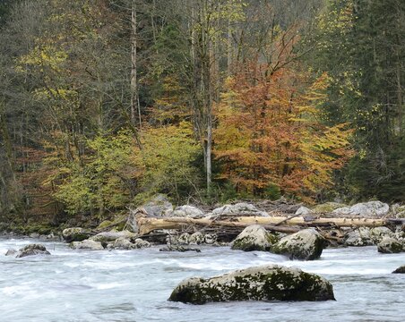Banks of the Enns river, Gesaeuse mountain region, Styria, Austria, Europe