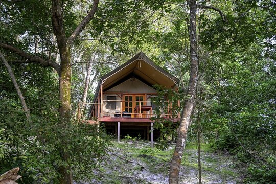 Chalet at Loango Lodge, Loango National Park, Parc National de Loango, Ogoou&eacute;-Maritime Province, Gabon