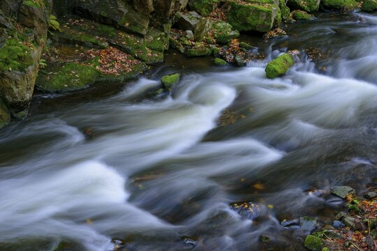 Autumn on the river Bode in the Harz Mountains, foliage colouring, Bodetal, Thale, Saxony-Anhalt, Germany