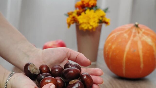 Autumn Thanksgiving arrangement, still-life background. Harvested pumpkins, a beautiful bouquet of yellow and orange flowers, fruits and vegetables, autumn leaves, and red berries on a wooden table. A