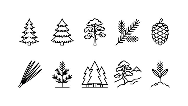 Conifer Pine Species, line icon set featuring spruce tree, fir tree, pine tree, conifer branch, pine cone, needle cluster, evergreen sapling, forest symbol, mountain pine, tree seedling, covering pine
