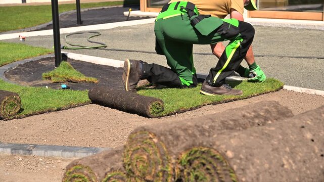Worker unrolling sod with stacked turf rolls in the foreground
