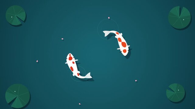 Koi fish swimming in teal pond with green lily pads illustration