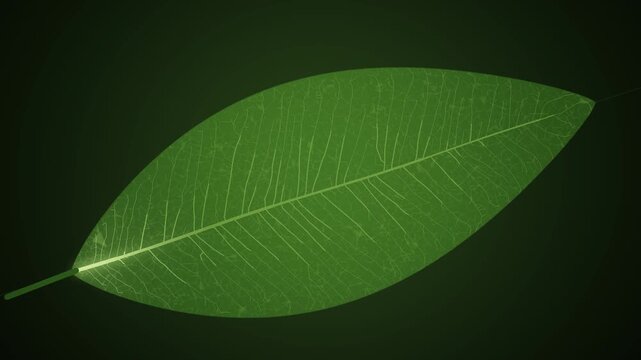 Leaf vein capillary network lighting up as glowing sap flows through, green macro 4K seamless loop