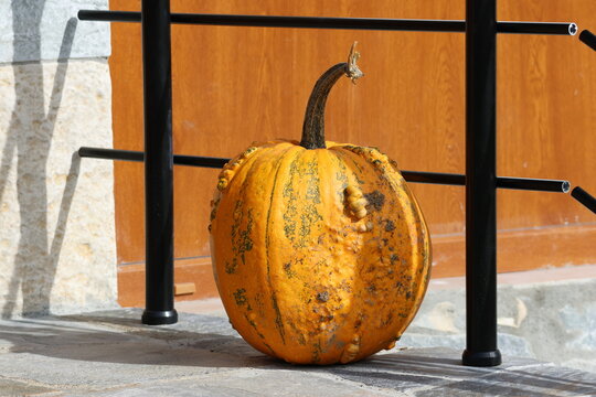 Courge orange &agrave; c&ocirc;tes vertes devant une porte en bois