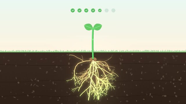 Seedling sprouting in soil cross-section with glowing roots spreading as habit tracker growth 4K loop