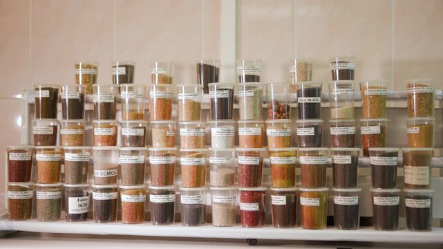 Organized shelf of labeled clear jars filled with assorted granules and grains in neat rows on white metal rack indoors, close-up view showing color and texture variety, storage and sample display for