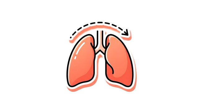 Human lungs anatomical illustration in cartoon style.