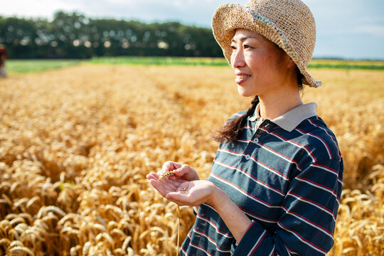Smiling woman farmer inspecting wheat in field