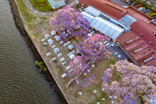 Aerial view of the Officers Mess in New Farm, featuring outdoor seating areas under blooming purple jacaranda trees along the Brisbane River in New Farm, Queensland, Australia.