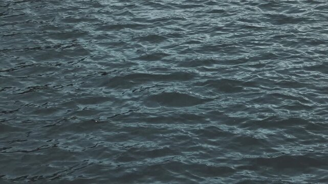 Small waves in water, Ottenstein, Lower Austria, Austria