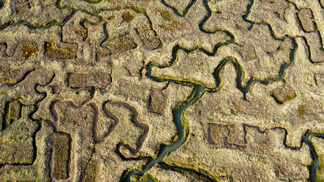 Aerial view of the intricate network of tidal creeks and salt marsh vegetation at Point Clear, England, United Kingdom.