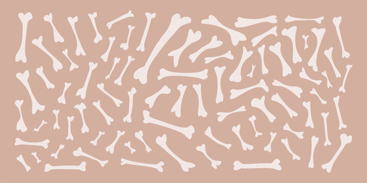 Vector set of bones isolated on beige background.