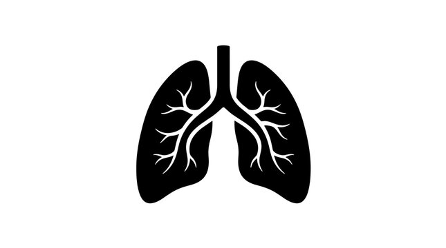 Human lungs silhouette icon representing respiratory health and medicine